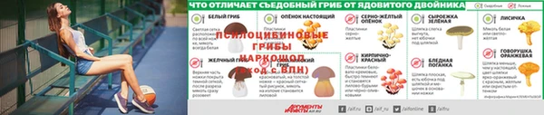 соль ск Заволжье