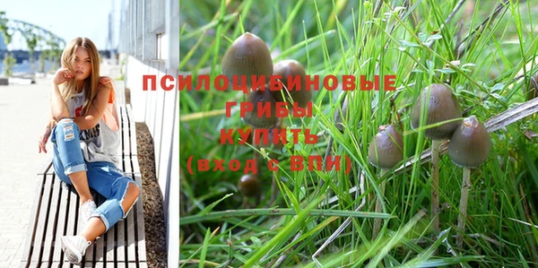 герыч Зерноград