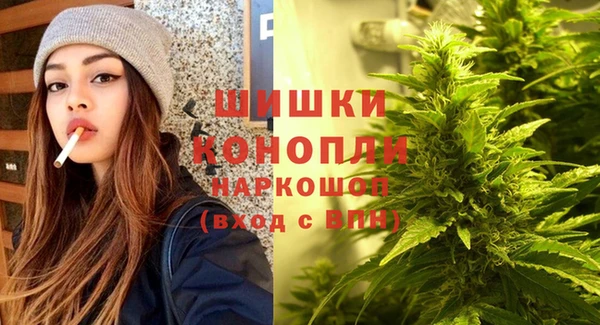 spice Заводоуковск